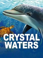 Crystal Waters slot with dolphin and turtle